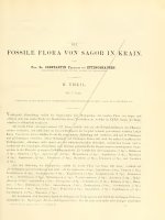 Denkschriften der kaiser Akademie der Wissenschaften Vol 37-1-0161-0216