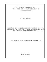 Nghiên cứu tạo kháng nguyên VP6 tái tổ hợp và kháng thể đặc hiệu để ứng dụng phát triển que thử phát hiện nhanh virus rota 