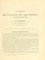 Denkschriften der kaiser Akademie der Wissenschaften Vol 37-1-0241-0275