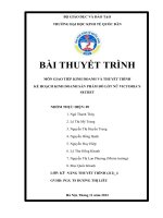 Kế hoạch kinh doanh sản phẩm đồ lót nữ victorias secret 