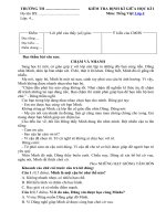 de-thi-giua-hoc-ki-1-mon-tieng-viet-lop-4-nam-2018-2019