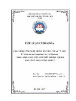 Bài tiểu luận lớp GVC-Nguyễn Hồng Anh