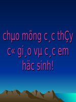 giáo án điện tử giảng văn Ông già và biển cả
