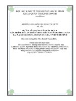 Dự án xây dựng và phát triển sản phẩm rau an toàn theo tiêu chuẩn global gap tại xã nhuận đức , huyện củ chi , TP hồ chí minh 