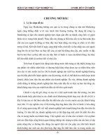 Báo cáo thực tập nghiệp vụ về chiến lược marketing tại công ty THIBIDI với việc nần cao và mở rộng thị trường sản phẩm 