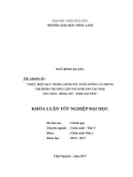 Thực hiện quy trình chăm sóc, nuôi dưỡng và phòng trị bệnh cho đàn lợn nái sinh sản tại trại tân thái   đồng hỷ   thái nguyên 