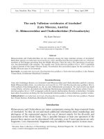 Annalen des k. k. naturhistorischen Hofmuseums 111A 0619-0634