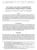 Annalen des k. k. naturhistorischen Hofmuseums 111B 0043-0053