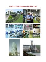 Quản trị tai chính   công ty cổ phần cơ điện lạnh (ree corp) 