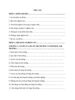 nghiên cứu thị trường bán lẻ tại khu kinh tế nghi sơn thanh hóa 