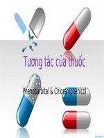 Dược lâm sàng nhóm 11 d6a