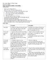 So sánh cổ phiếu và trái phiếu. Liệt kê các ngân hàng thương mại ở Việt Nam và phân loại