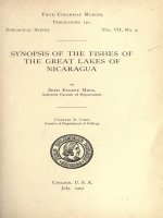 SYNOPSIS OF THE FISHES OF THE GREAT LAKES OF NICARAGUA, MEEK 1907