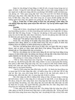 Tiểu luận môn Quản trị văn phòng