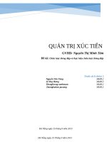 Chiến lược thông điệp và thực hiện chiến lược thông điệp 