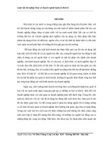 Nghiên cứu giải pháp hoàn thiện quản trị nhân lực tại công ty cổ phần gạch ngói hải ninh 