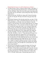 LỊCH SỬ HÌNH THÀNH, CHIẾN LƯỢC BÁN HÀNG BUDWEISER