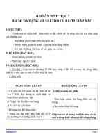 Giáo án Sinh học 7 bài 24: Đa dạng và vai trò của lớp giáp xác