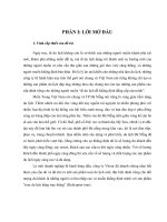 Xây dựng chính sách marketing nhằm khai thác nguồn khách cho loại hình du lịch trực thăng tại công ty TNHH MTV lữ hành VITOURS 