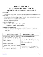 Giáo án Sinh học 7 bài 17: Một số giun đốt khác và đặc điểm của ngành giun đốt