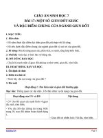 Giáo án Sinh học 7 bài 17: Một số giun đốt khác và đặc điểm của ngành giun đốt