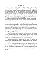 tiểu luận nhận xét, đánh giá về chương trình giáo dục phổ thông môn toán của việt nam hiện nay