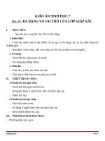 Giáo án Sinh học 7 bài 24: Đa dạng và vai trò của lớp giáp xác