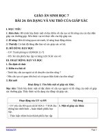 Giáo án Sinh học 7 bài 24: Đa dạng và vai trò của lớp giáp xác