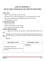 Giáo án Sinh học 7 bài 20: Thực hành quan sát một số thân mềm