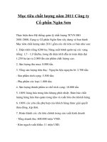 Mục tiêu chất lượng năm 2011 công ty cổ phần ngân sơn 