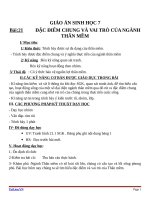 Giáo án Sinh học 7 bài 21: Đặc điểm chung và vai trò của ngành thân mềm