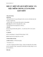 Giáo án Sinh học 7 bài 17: Một số giun đốt khác và đặc điểm của ngành giun đốt