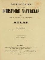 DICTIONNAIRE UNIVERSEL D''''HISTOIRE NATURELLE ATLAS V01, D''''ORBIGNY
