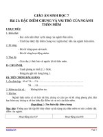 Giáo án Sinh học 7 bài 21: Đặc điểm chung và vai trò của ngành thân mềm