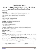 Giáo án Sinh học 7 bài 23: Thực hành mổ và quan sát tôm sống