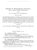 Annalen des k. k. naturhistorischen Hofmuseums 12 0075-0098