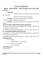 Giáo án Sinh học 7 bài 16: Thực hành mổ và quan sát giun đất