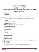 Giáo án Sinh học 7 bài 17: Một số giun đốt khác và đặc điểm của ngành giun đốt