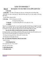 Giáo án Sinh học 7 bài 24: Đa dạng và vai trò của lớp giáp xác