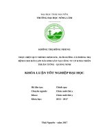 Thực hiện quy trình chăm sóc, nuôi dưỡng và phòng trị bệnh cho đàn lợn nái sinh sản tại công ty CP khai thác khoáng sản thiên thuận tường   quảng ninh 