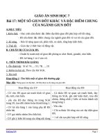 Giáo án Sinh học 7 bài 17: Một số giun đốt khác và đặc điểm của ngành giun đốt