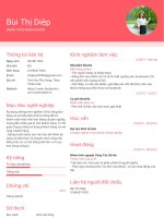 Bui thi diep TopCV vn 040718 70313 