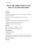 Giáo án Sinh học 7 bài 21: Đặc điểm chung và vai trò của ngành thân mềm