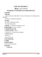 Giáo án Sinh học 7 bài 24: Đa dạng và vai trò của lớp giáp xác