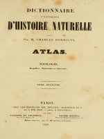 DICTIONNAIRE UNIVERSEL D''''HISTOIRE NATURELLE ATLAS V02, D''''ORBIGNY