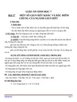 Giáo án Sinh học 7 bài 17: Một số giun đốt khác và đặc điểm của ngành giun đốt