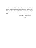 Vấn đề phụ nữ trong trước tác của Đạm Phương nữ sử (LV thạc sĩ)