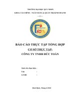 Báo cáo thực tập công ty TNHH Đức Toàn