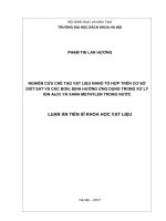 Nghiên cứu chế tạo vật liệu nano tổ hợp trên cơ sở oxít sắt và các bon, định hướng ứng dụng trong xử lý ion as(v) và xanh methylen trong nước 