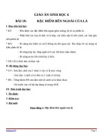 Giáo án Sinh học 6 bài 19: Đặc điểm ngoài của lá